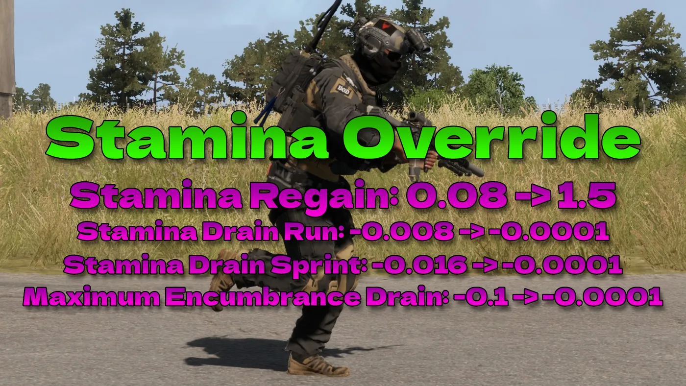 Stamina Override workshop preview
